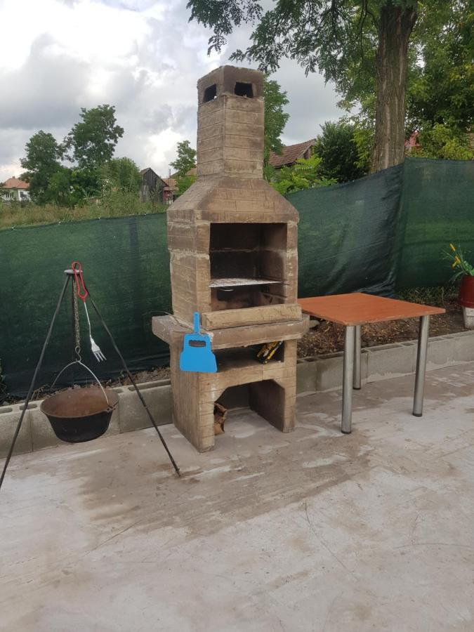 Tritenii de Jos Casa Ricciotti 빌라 외부 사진